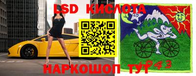 бошки Кимры