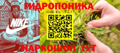 PSILOCYBIN Кингисепп