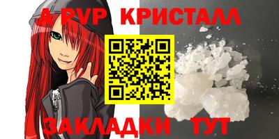 PSILOCYBIN Кингисепп