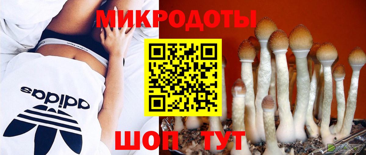 Галлюциногенные грибы Psilocybe Тельмана